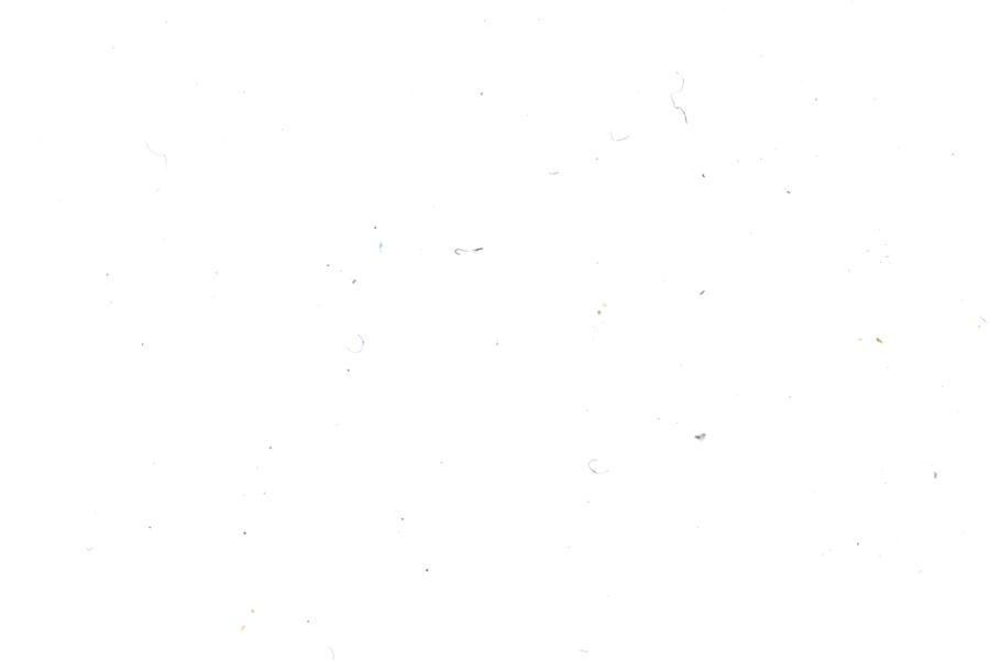 Image 29